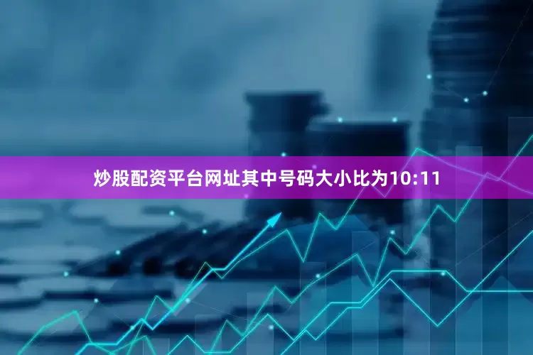 炒股配资平台网址其中号码大小比为10:11