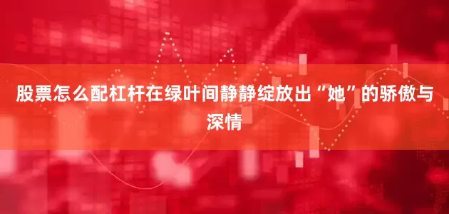 股票怎么配杠杆在绿叶间静静绽放出“她”的骄傲与深情
