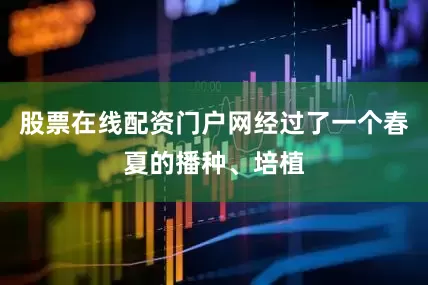 股票在线配资门户网经过了一个春夏的播种、培植